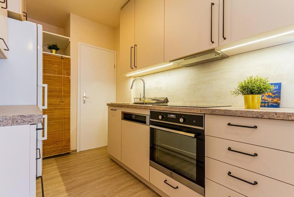 Roomy Apartment 80Sqm At City Center Free Parking Space, Ac & Balcony ブダペスト エクステリア 写真