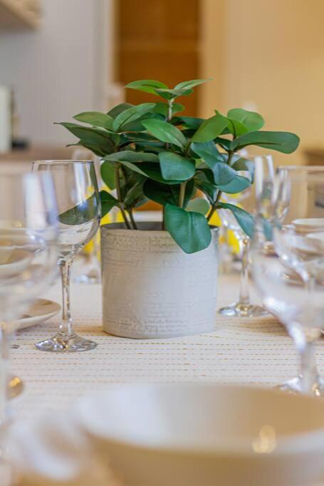 Roomy Apartment 80Sqm At City Center Free Parking Space, Ac & Balcony ブダペスト エクステリア 写真