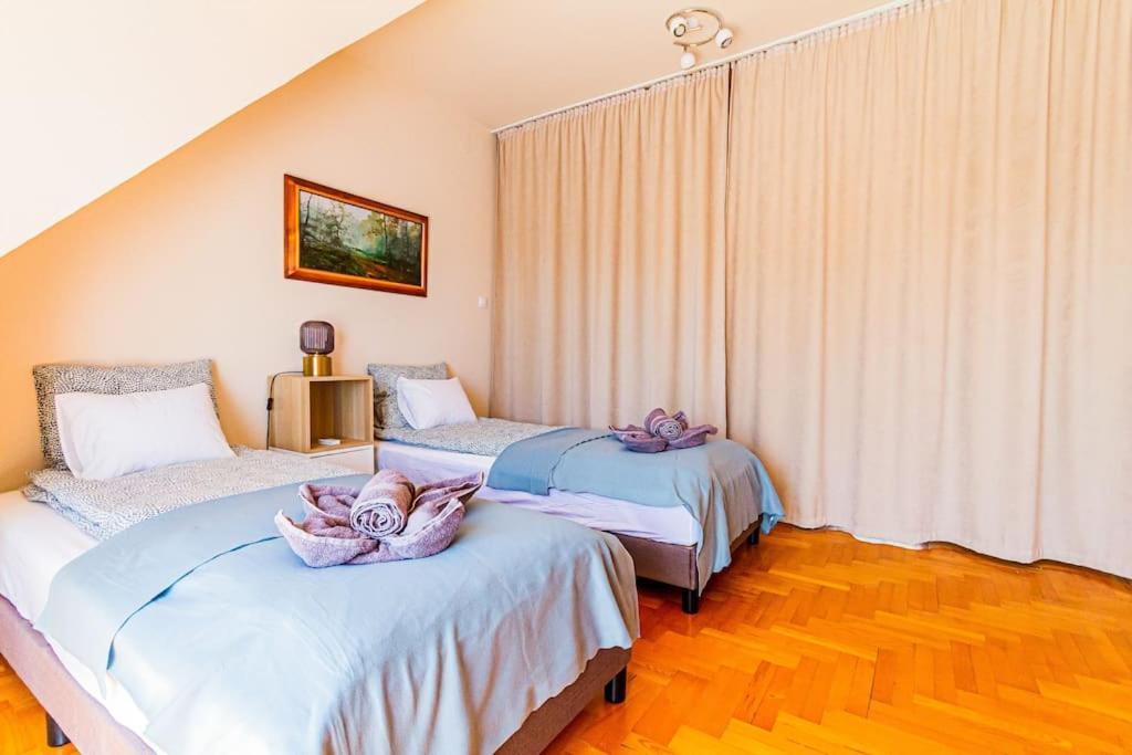 Roomy Apartment 80Sqm At City Center Free Parking Space, Ac & Balcony ブダペスト エクステリア 写真